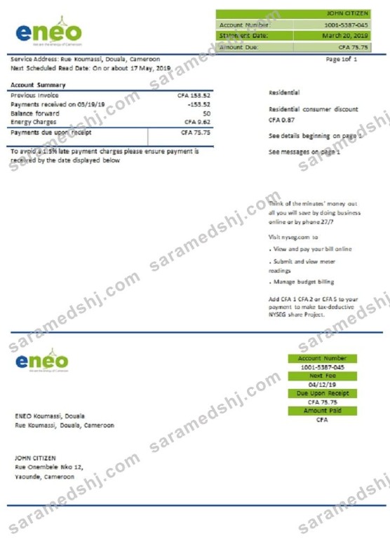 Cameroon ENEO electricity utility bill